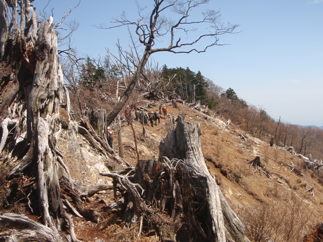 宮の谷~池小屋山~江股ノ頭縦走 20090422_c0147398_214556.jpg