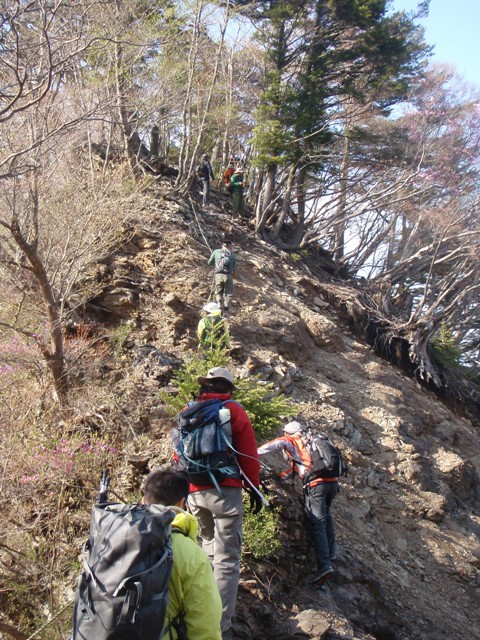 宮の谷~池小屋山~江股ノ頭縦走 20090422_c0147398_2146059.jpg