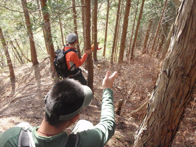 宮の谷~池小屋山~江股ノ頭縦走 20090422_c0147398_2146307.jpg