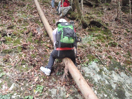 宮の谷~池小屋山~江股ノ頭縦走 20090422_c0147398_21471986.jpg