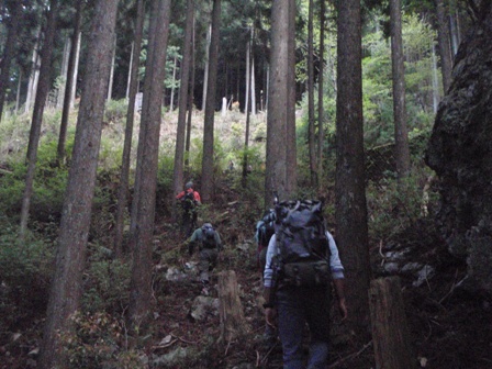 宮の谷~池小屋山~江股ノ頭縦走 20090422_c0147398_21474290.jpg