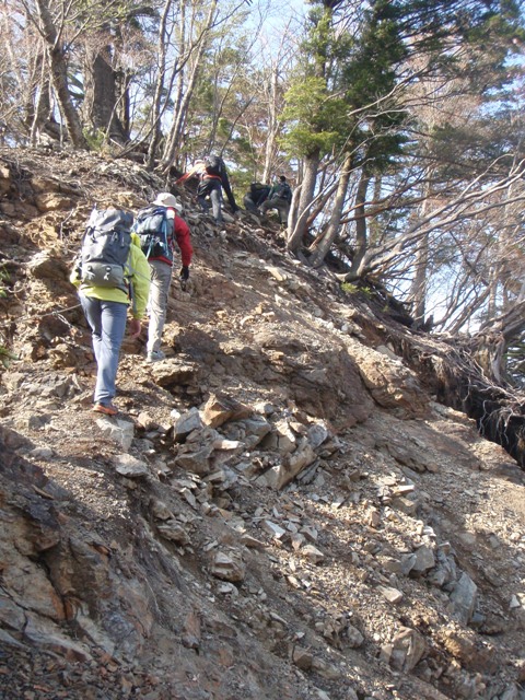 宮の谷~池小屋山~江股ノ頭縦走 20090422_c0147398_2202598.jpg