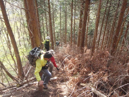 宮の谷~池小屋山~江股ノ頭縦走 20090422_c0147398_2224162.jpg