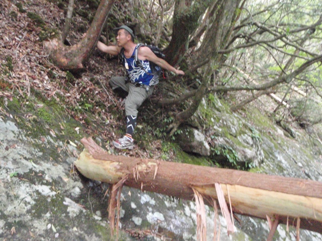宮の谷~池小屋山~江股ノ頭縦走 20090422_c0147398_2243997.jpg