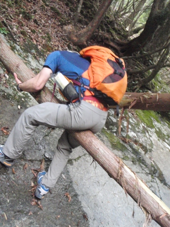 宮の谷~池小屋山~江股ノ頭縦走 20090422_c0147398_2252847.jpg