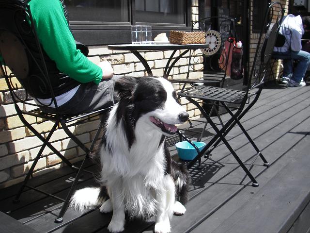 f0034602_2228016.jpg