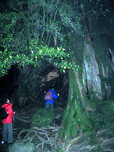 e0118904_17294737.jpg