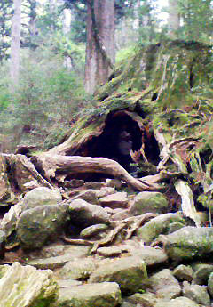 e0118904_173543100.jpg