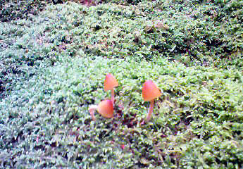 e0118904_17473463.jpg