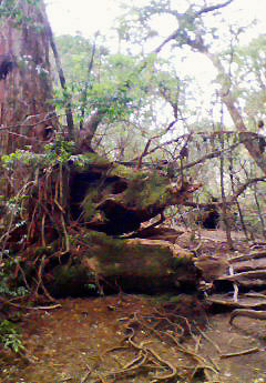 e0118904_17524982.jpg