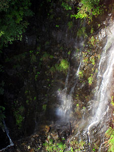 e0118904_21103357.jpg