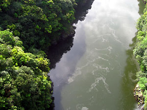 e0118904_2112513.jpg