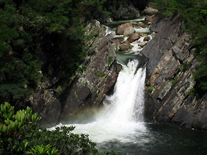 e0118904_21155771.jpg