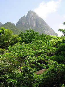 e0118904_21205017.jpg