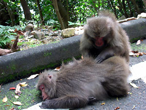 e0118904_21322122.jpg