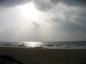 e0118904_21365245.jpg