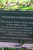 セントラルパークの穴場スポット Wildlife Corridor （行き方編）_b0007805_19284143.jpg
