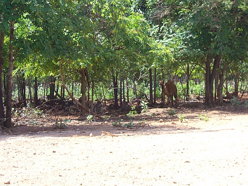 c0110906_23564346.jpg