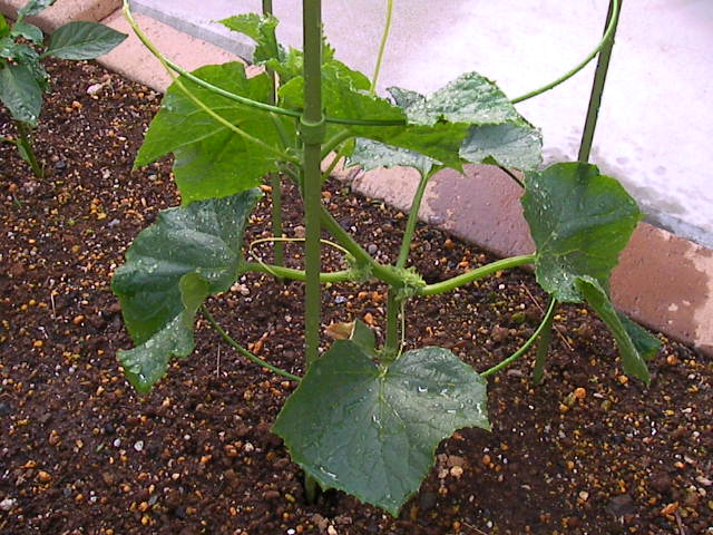 f0038407_17113858.jpg