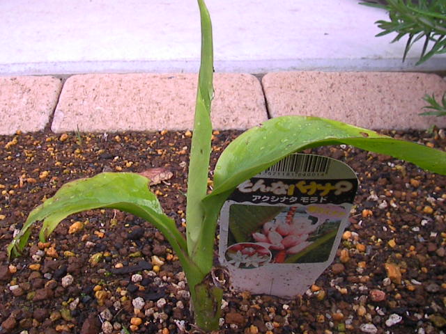 f0038407_17143886.jpg