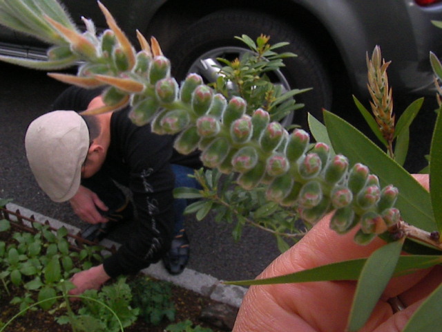 f0038407_17171574.jpg