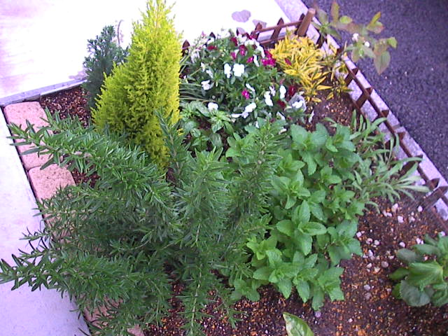 f0038407_1785782.jpg