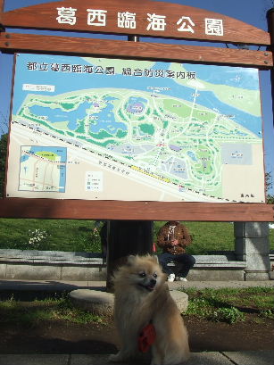 葛西臨海公園_b0089508_21371246.jpg