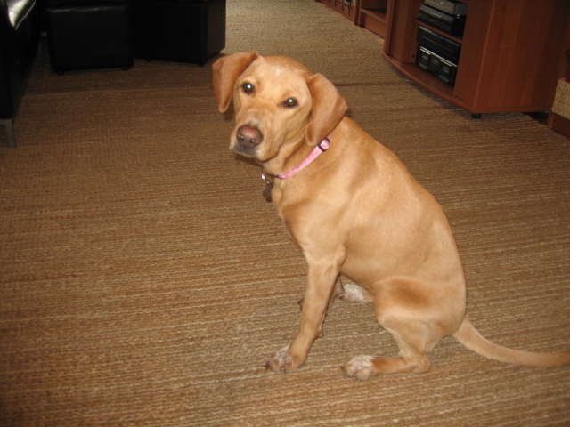 f0036409_10294314.jpg