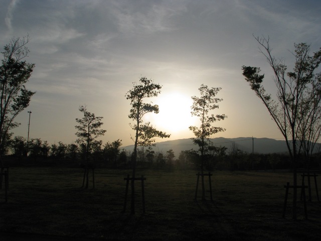 d0081210_23375218.jpg