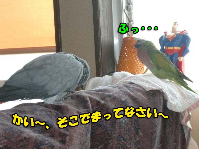 c0133013_21124068.jpg
