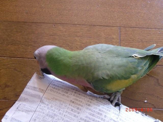 c0133013_22195384.jpg