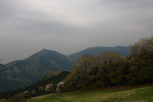 e0117318_89134.jpg