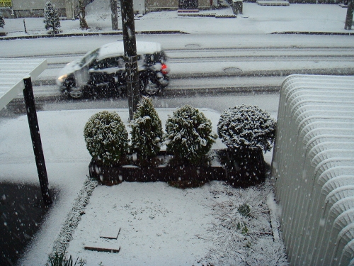 f0037518_1716721.jpg