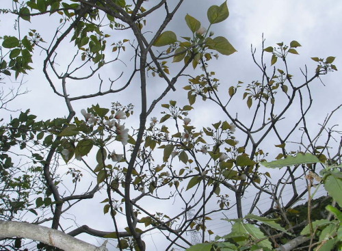 a0048823_19491379.jpg