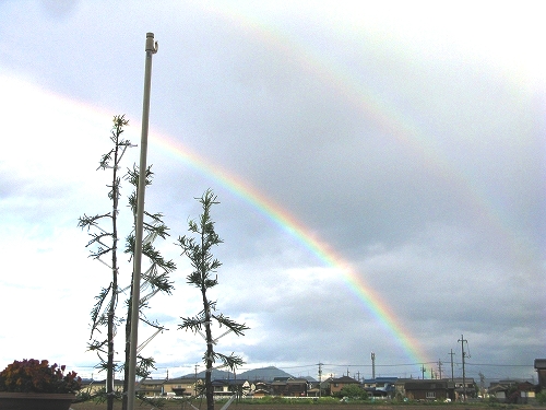 e0072023_2029996.jpg