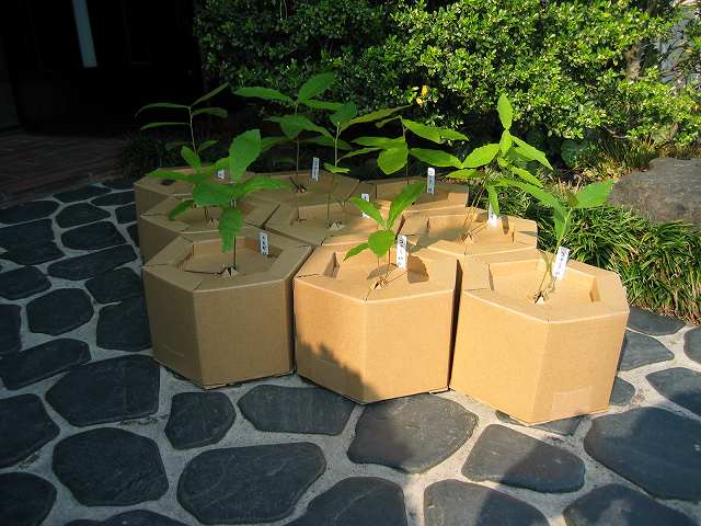 f0203324_14113739.jpg