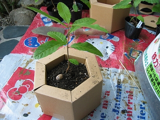 f0203324_1492658.jpg