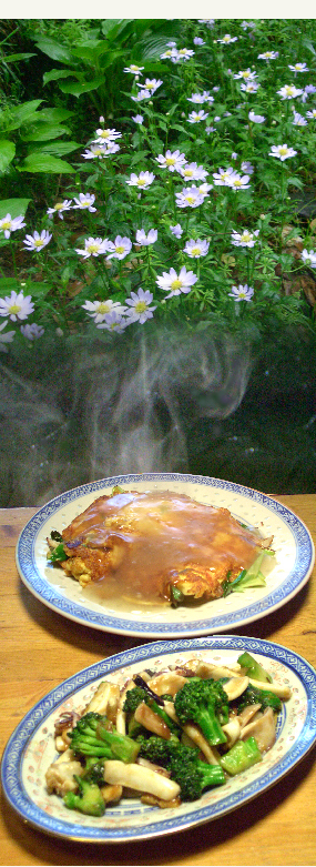 d0043225_1623862.jpg