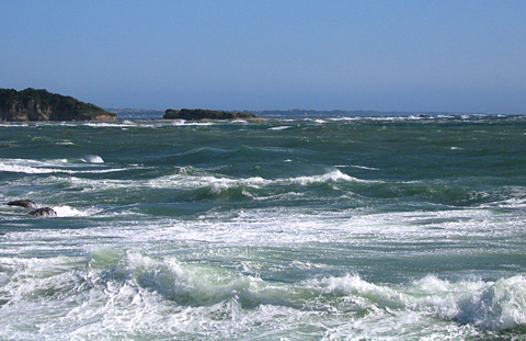 e0089826_22403364.jpg