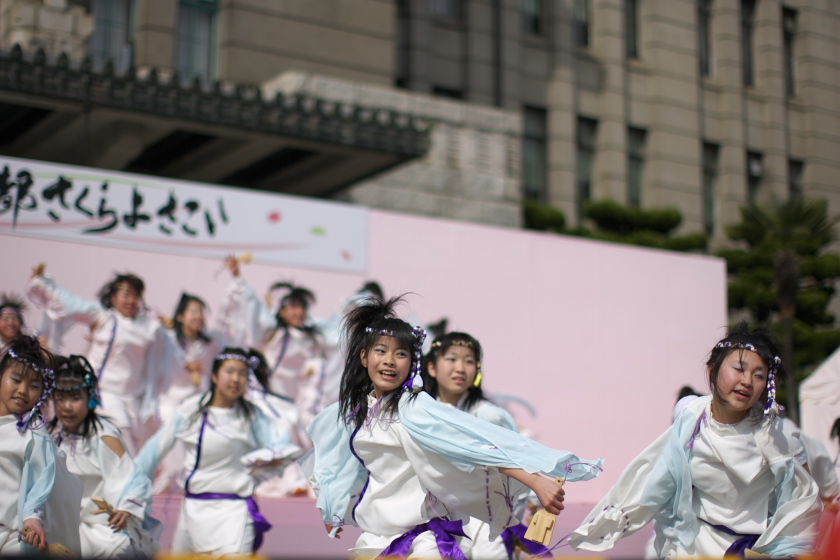 京都さくらよさこい　本祭　EF５０mmF1.2　L編　vol.3_a0095531_2230146.jpg