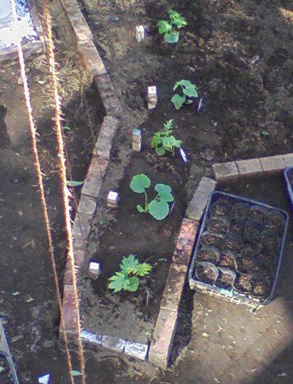 c0178231_15413895.jpg