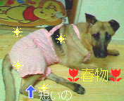 c0126832_22123670.jpg