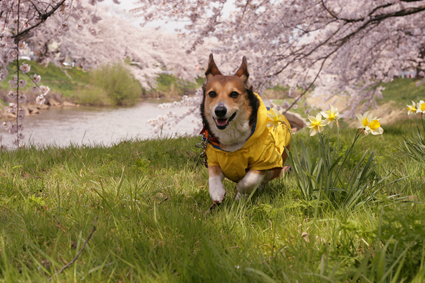 雨の日は在庫から〜_b0031538_22513688.jpg