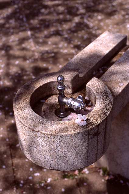 c0120439_21214724.jpg