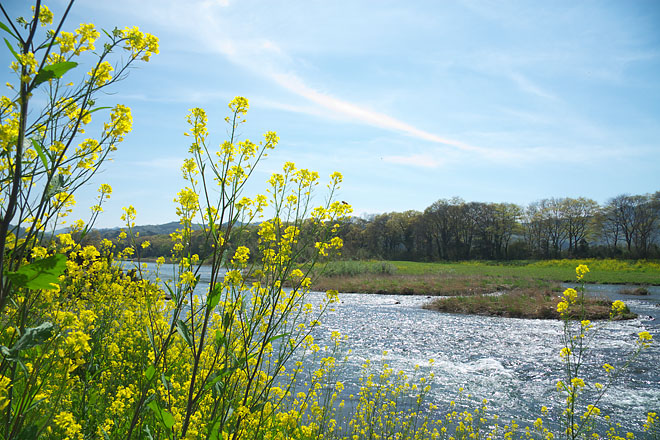 c0067040_21501690.jpg