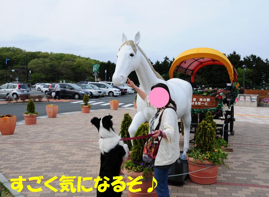 c0147241_2120792.jpg