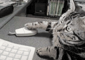 c0016642_1974092.gif