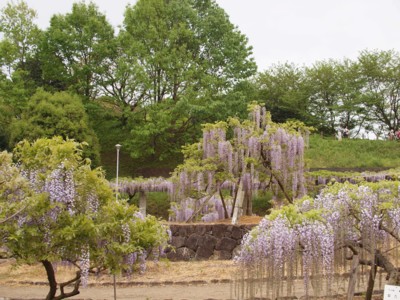 c0119142_16295642.jpg