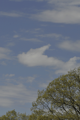 c0093046_8355180.gif