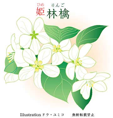 姫林檎の花のイラスト ドラ ユミコのイラスト料理店